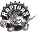 Toronto Raptors decal 00b