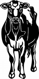 jersey cow decal 3