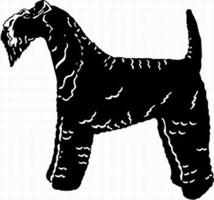 Kerry Blue Terrier Decal