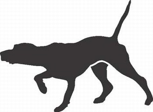 Pointer decal