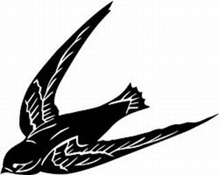 swallow decal