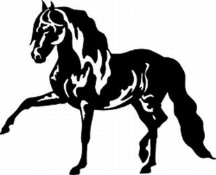 Andalusian horse decal