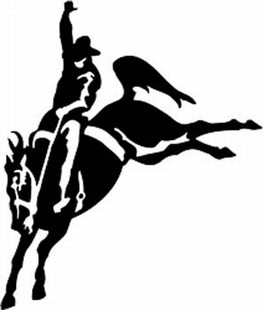 Saddle bronco horse decal