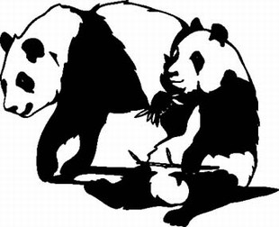 Two Pandas 