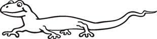 Lizzard decal