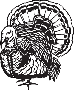 thanksgiving turkey decal