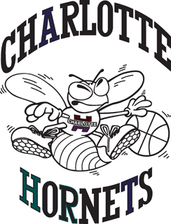 Charlotte Hornets decal B
