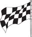 Checkered Flags 55
