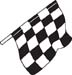 Checkered Flags 45