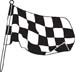 Checkered Flags 38