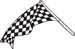 Checkered Flags 41