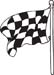 Checkered Flags 30