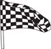 Checkered Flags 35