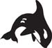 Killer Whale decal