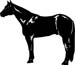 black arabian horse decal