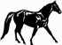 Missouri_fox_trotter horse decal