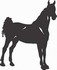 Show horse decal