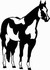Paint horse decal