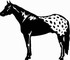Appaloosa horse decal