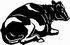 holstein cow decal 1