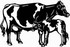 holstein cow decal 2