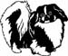 Pekingese Dog 