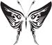 Tribal Butterfly 21