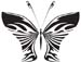 Tribal Butterfly 23