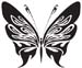 Tribal Butterfly 26
