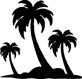 Palm Trees 